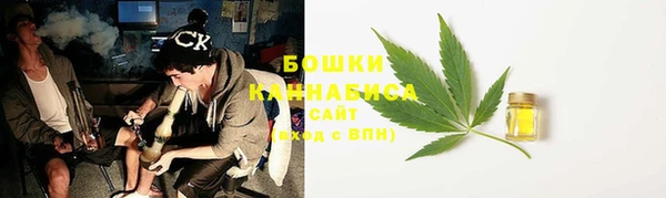 прущие крисы Мегион